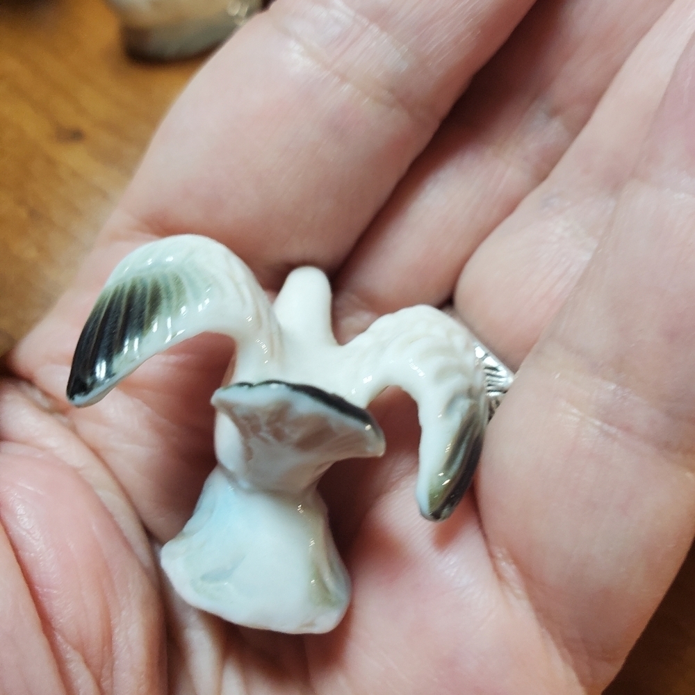 Seagull Collection - Picture 13 of 16